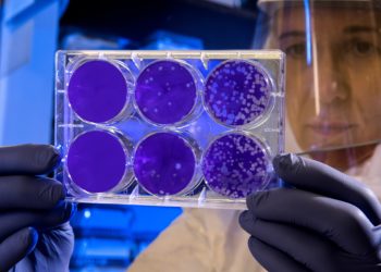 Coronavirus: zorgen terecht of stellen we ons aan?