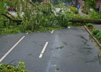 Stormschade melden. Hoe doe je dat?