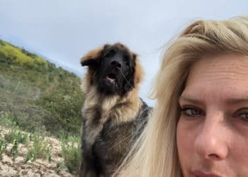 Wat voor impact heeft een druk gezin op een huisdier? – Arianes Spreekuur