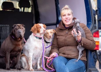 Voelen Katten Emoties van Mensen? – Arianes Spreekuur