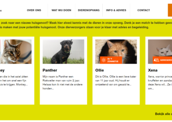 Dieren adopteren tijdens de coronacrisis