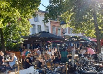 “Registratie van gasten in Haarlemse horeca verloopt goed”