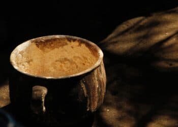 Archeologisch Museum Haarlem weer open