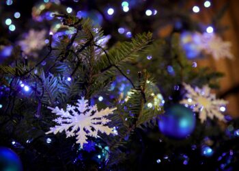 Verkoop van kerstbomen komt aardig op gang