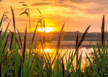 Spaarnwoude doet onderzoek naar waardering recreatiegebieden