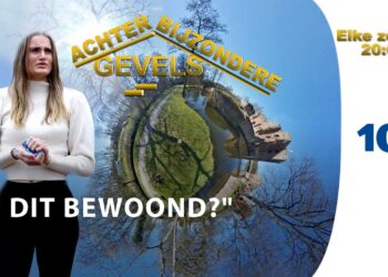 Achter Bijzondere Gevels Een ruïne| Haarlem105