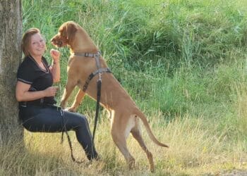Bootcampen met je hond: ”Als jij een push-up doet, oefent de hond een balansoefening op je rug”