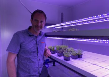 Jens teelt micro-groentes: ”Waanzinnig gezond, maar veel kleiner”