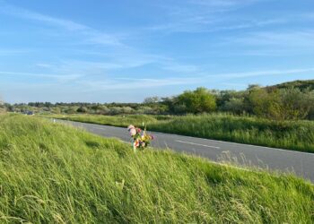 Nachtclubs in rouw na dood barvrouw (23) en vriendin (19) bij fataal ongeluk Zeeweg