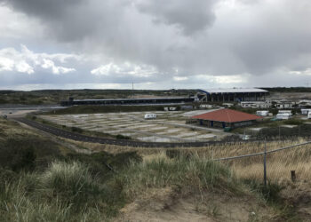Rechtbank: zandhagedis op circuit Zandvoort niet in gevaar door werkzaamheden F1