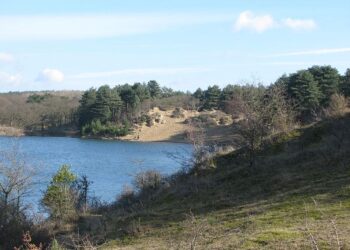 De renschoenen kunnen van zolder: ‘Nog twee dagen tot de Lions Zeewegrun’