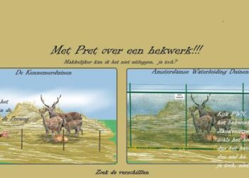 ‘Hertenfluisteraar’ Willem van der Sloot ziet het liefst geen mensen in de duinen tijdens de paartijd van de herten