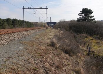 Prorail bouwt hek langs spoor bij Zandvoort om aanrijdingen met herten te voorkomen