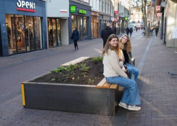 Nieuwe plantenbakken moeten ‘te saaie en te lege’ Grote Houtstraat opfleuren