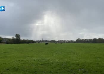 Lichtpuntje voor paar landeigenaren Vogelenzang, grenzen natuurnetwerk aangepast