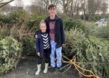 Kids zamelen honderden kerstbomen in: “Toch nog iets te doen in de vakantie!”