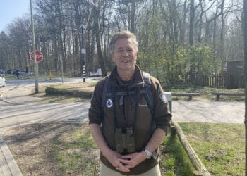 Eekhoornbrug over drukke Vogelenzangseweg: “De vlag gaat uit als de eerste eroverheen loopt”