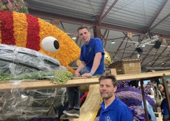 Bloemsteken voor bloemencorso monnikenwerk: “We hebben er alles voor over”