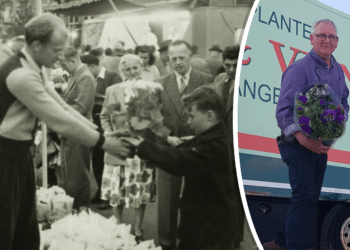 Verdwijnt eeuwenoude Haarlemse traditie? Voortbestaan luilakmarkt aan zijden draadje