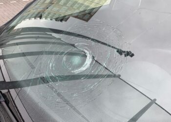 Rondvliegende ballen tijdens Haarlemse Honkbalweek: “De voorruit van mijn auto is flink beschadigd”