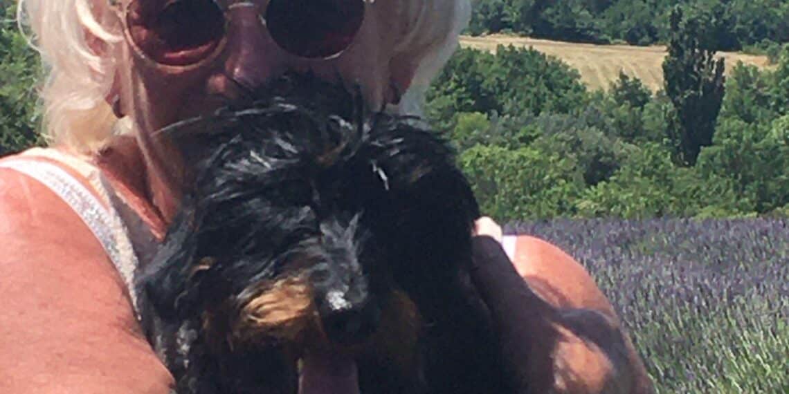 Haarlemse Wil schenkt onbekende haar nier: “Ik heb het met liefde gedaan, voor mij voelt het een beetje als normaal”