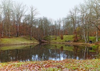 Ton Belderok wordt de nieuwe klimaatburgemeester van Haarlem: “Het klimaat is van ons allemaal”