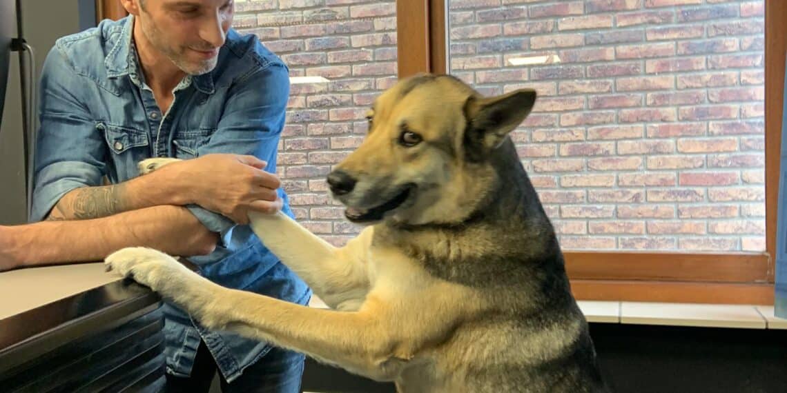 Lex Paleaux vindt aanpassingen boeken Roald Dahl een schande: “Ik ging echt over mijn huig”