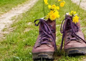 Grootschalige avondvierdaagse Haarlem, Heemstede en Spaarndam gaat niet door, maar veel scholen organiseren wandelevenement al jaren zelf – of niet