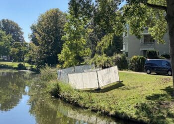 Lichaam in water Haarlem is van 48-jarige man zonder vast adres, misdrijf uitgesloten