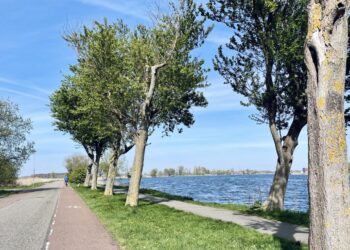 Noordelijk deel Spaarndamseweg zeven maanden dicht door werkzaamheden