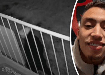 Nieuwe tips na Opsporing Verzocht over verdachte liquidatiepoging Haarlem