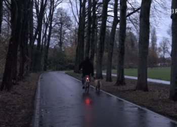 Luister terug: landschapsarchitect over winst Lieven de Key-penning: ‘Heel verrast’