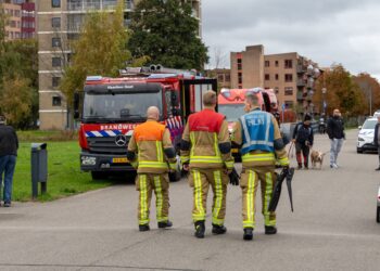 Man aangehouden die tegen auto schopt en in water springt bij Reinaldapark
